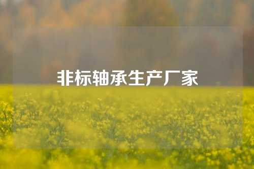 非标轴承生产厂家