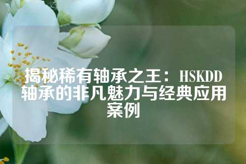 揭秘稀有轴承之王：HSKDD轴承的非凡魅力与经典应用案例