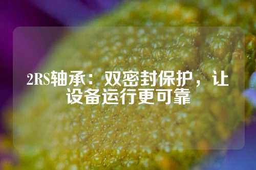 2RS轴承：双密封保护，让设备运行更可靠