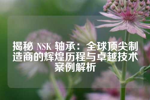 揭秘 NSK 轴承：全球顶尖制造商的辉煌历程与卓越技术案例解析