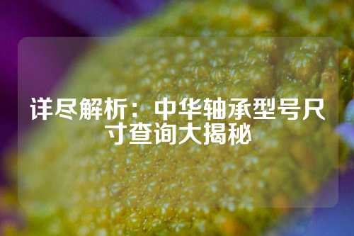 详尽解析：中华轴承型号尺寸查询大揭秘