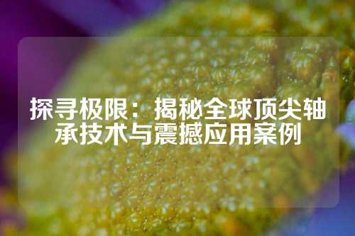 探寻极限：揭秘全球顶尖轴承技术与震撼应用案例