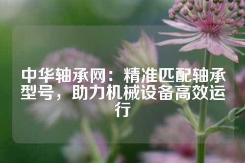 中华轴承网：精准匹配轴承型号，助力机械设备高效运行