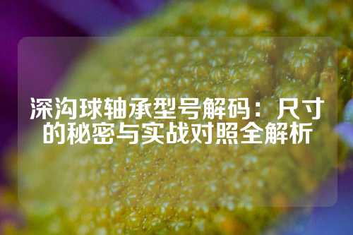 深沟球轴承型号解码：尺寸的秘密与实战对照全解析