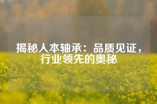 揭秘人本轴承：品质见证，行业领先的奥秘