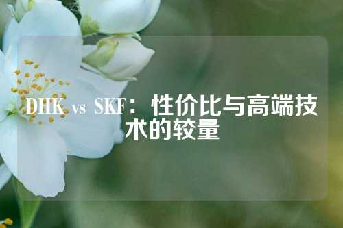 DHK vs SKF：性价比与高端技术的较量