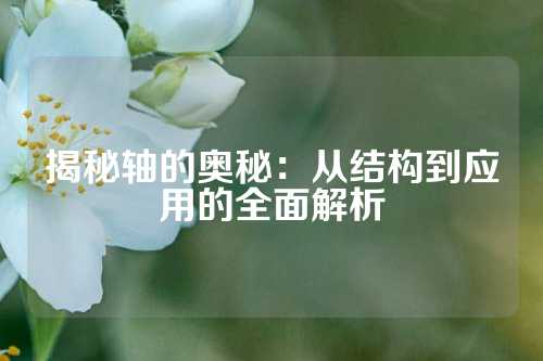 揭秘轴的奥秘：从结构到应用的全面解析