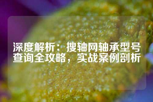 深度解析：搜轴网轴承型号查询全攻略，实战案例剖析