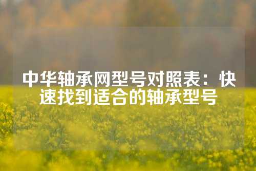 中华轴承网型号对照表：快速找到适合的轴承型号