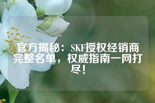 官方揭秘：SKF授权经销商完整名单，权威指南一网打尽！