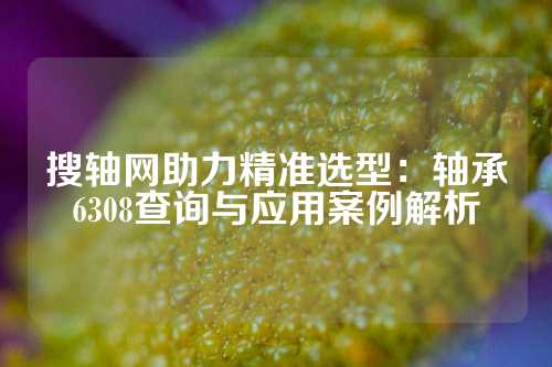 搜轴网助力精准选型：轴承6308查询与应用案例解析