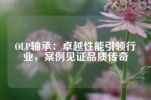 OLP轴承：卓越性能引领行业，案例见证品质传奇