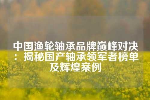 中国渔轮轴承品牌巅峰对决：揭秘国产轴承领军者榜单及辉煌案例