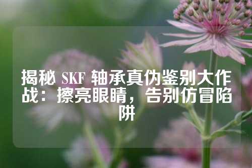 揭秘 SKF 轴承真伪鉴别大作战：擦亮眼睛，告别仿冒陷阱