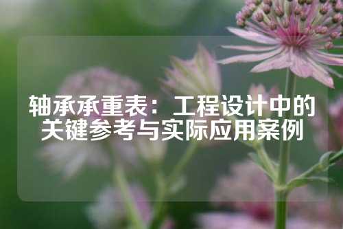 轴承承重表：工程设计中的关键参考与实际应用案例