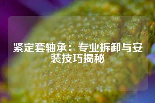 紧定套轴承：专业拆卸与安装技巧揭秘