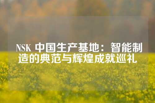  NSK 中国生产基地：智能制造的典范与辉煌成就巡礼