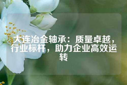 大连冶金轴承：质量卓越，行业标杆，助力企业高效运转