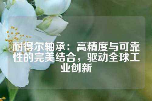 耐得尔轴承：高精度与可靠性的完美结合，驱动全球工业创新