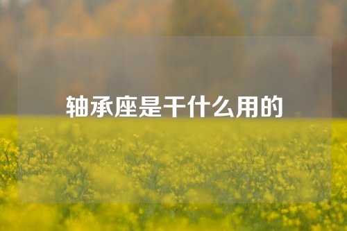 轴承座是干什么用的