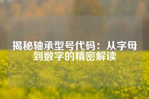 揭秘轴承型号代码：从字母到数字的精密解读