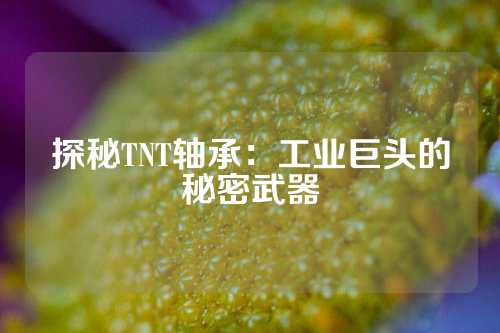 探秘TNT轴承：工业巨头的秘密武器