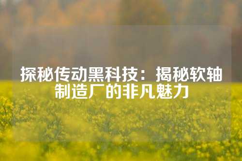 探秘传动黑科技：揭秘软轴制造厂的非凡魅力