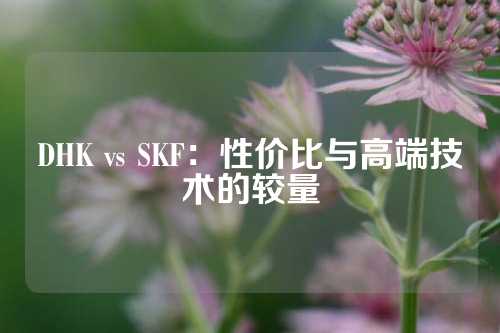 DHK vs SKF：性价比与高端技术的较量