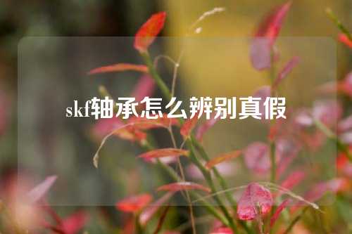 skf轴承怎么辨别真假