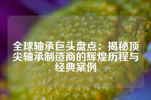 全球轴承巨头盘点：揭秘顶尖轴承制造商的辉煌历程与经典案例