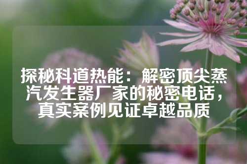 探秘科道热能：解密顶尖蒸汽发生器厂家的秘密电话，真实案例见证卓越品质