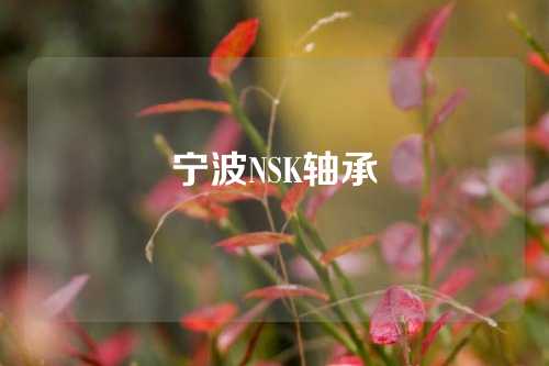 宁波NSK轴承