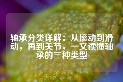 轴承分类详解：从滚动到滑动，再到关节，一文读懂轴承的三种类型