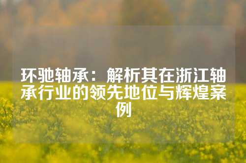 环驰轴承：解析其在浙江轴承行业的领先地位与辉煌案例