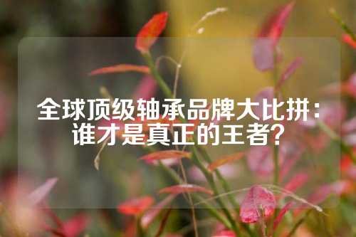 全球顶级轴承品牌大比拼：谁才是真正的王者？