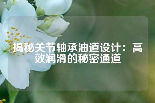 揭秘关节轴承油道设计：高效润滑的秘密通道