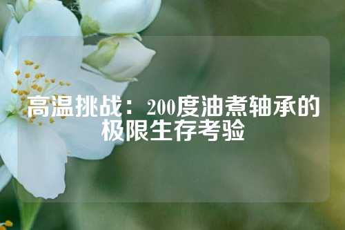 高温挑战：200度油煮轴承的极限生存考验