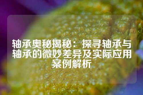 轴承奥秘揭秘：探寻轴承与轴承的微妙差异及实际应用案例解析