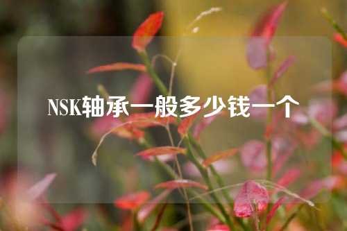 NSK轴承一般多少钱一个