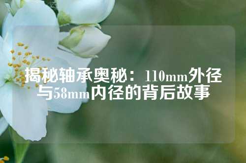 揭秘轴承奥秘：110mm外径与58mm内径的背后故事