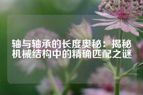 轴与轴承的长度奥秘：揭秘机械结构中的精确匹配之谜