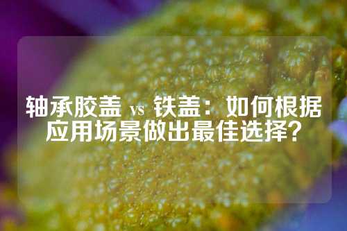 轴承胶盖 vs 铁盖：如何根据应用场景做出最佳选择？