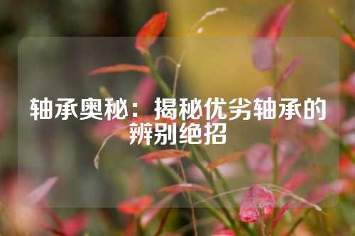 轴承奥秘：揭秘优劣轴承的辨别绝招