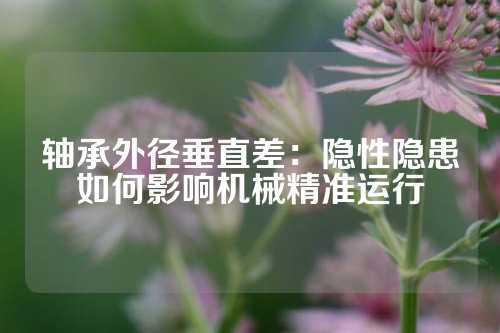 轴承外径垂直差：隐性隐患如何影响机械精准运行