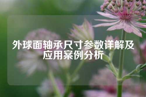 外球面轴承尺寸参数详解及应用案例分析