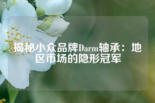 揭秘小众品牌Darm轴承：地区市场的隐形冠军