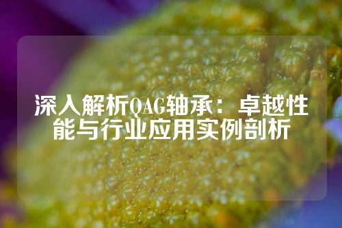 深入解析QAG轴承：卓越性能与行业应用实例剖析