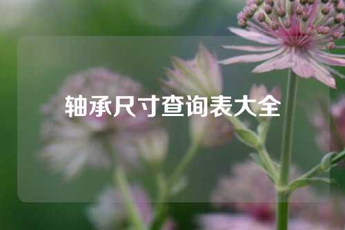 轴承尺寸查询表大全