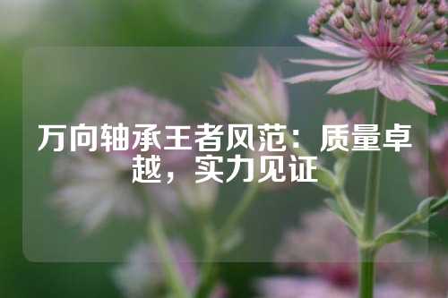 万向轴承王者风范：质量卓越，实力见证