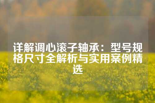 详解调心滚子轴承：型号规格尺寸全解析与实用案例精选